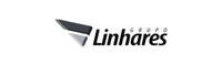 Logo Grupo Linhares cinza