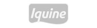 logo iquine cinza