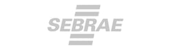 logo sebrae-ce cinza